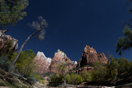 night time landscape at Zion national park with moon light on the mountains and bright stars on  the...