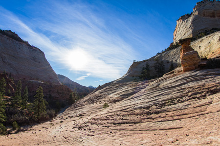 interesting sandstone  formations in Zion National Park also known as hoodoosの写真素材