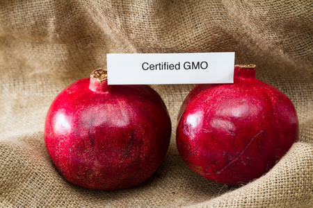 food labeling concept with bright red pomegranates and a GMO labelの写真素材