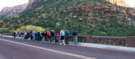 Zion National Park Utah - November 11 : photographers lined up along the bridge to capture the magical fall colors in the park, November 11 2014 in Zion NP, Utahのeditorial素材