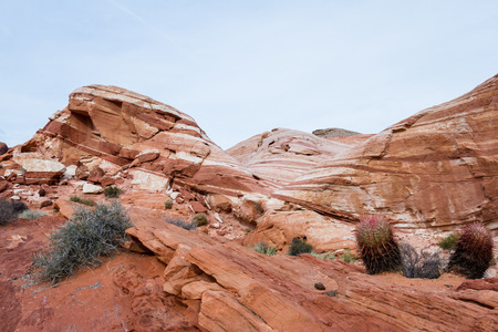 the wave feature, sandstone desert landscape in Valley of Fire State Park in Nevadaの写真素材
