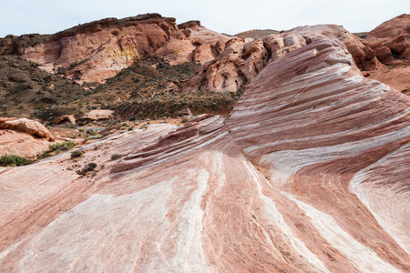 the wave feature, sandstone desert landscape in Valley of Fire State Park in Nevadaの写真素材