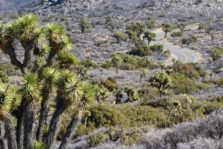 view of the desert in the Joshua Tree National Park in Southern Californiaの写真素材