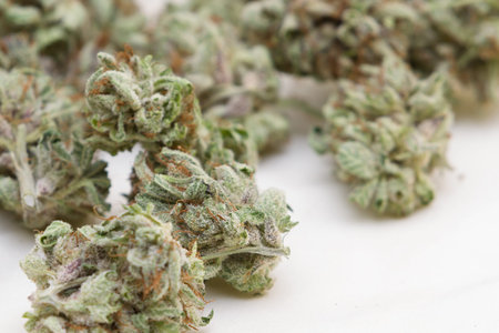 close up of a stash of medicinal marijuana for a conceptの写真素材
