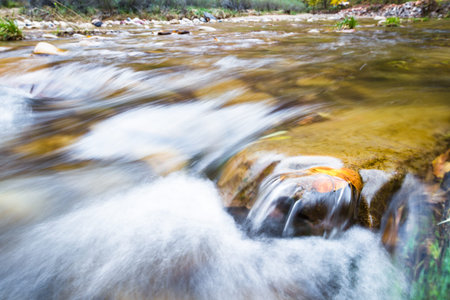 Virgin river in Zion national park in November with changing leaves