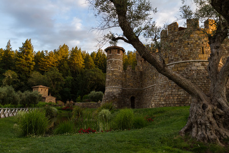 Beautiful castle in Napa Valley at sunset with rich green grass and healthy old olive treesのeditorial素材