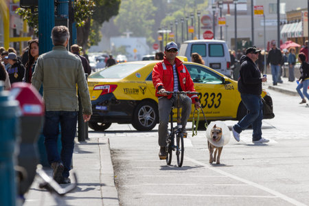 San Francisco, California - May 11 : Busy lifestyle in San Francisco, a man walking his recovering dog on the street, May 11 2015 San Francisco, California.のeditorial素材