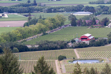 view of a portion of Napa Valley from a hill top, showing vineyards and wineriesのeditorial素材