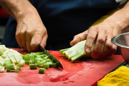 close up of a chef's hands slicing fresh fennel in a restaurantの写真素材