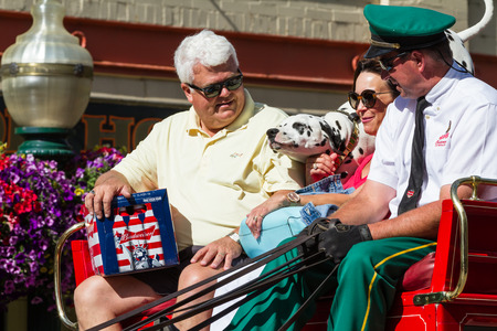 Coeur d' Alene, Idaho - June 12 : Chip, the 2 year old Budweiser dog touring  with the representatives on the  carriage, June 12 2015 in Coeur d' Alene, Idahoのeditorial素材