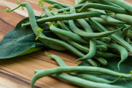 freshly picked organic green beans placed on a wooden tableの写真素材