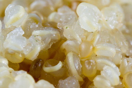 close up of organic cooked sprouted quinoa on a white backgroundの写真素材