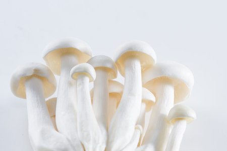 Close up of a cluster of raw organic white bunapi mushrooms