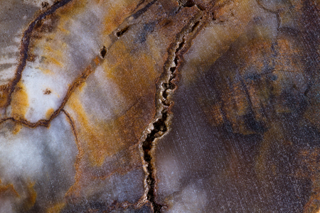 close up of a beautiful polished stone with interesting details in the texture and natural colorsの写真素材