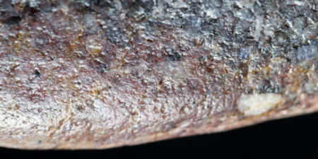 close up of a stone with an interesting texture and multiple colors