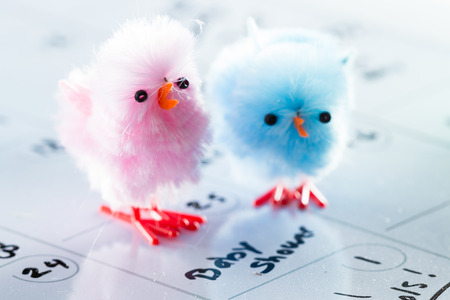 concept for a baby shower image using two fuzzy chicks in blue and pinkの写真素材