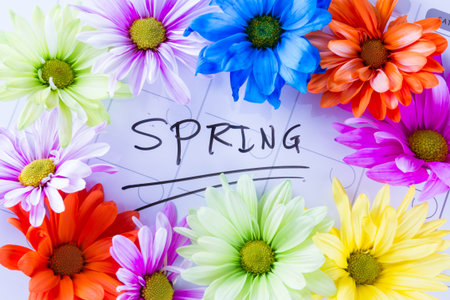 close up of a group of colorful spring flowers in pastel colors for a springtime concept