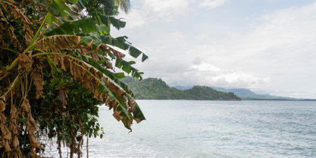 rocky beach in Costa Rica densely vegetated where the ocean meets lands