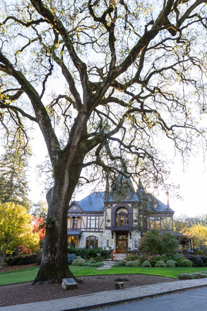 Napa, California - November 10: Beautiful building for Beringer Winery with a two hundred plus year old tree in the front. November 10 2016, Napa, California.のeditorial素材