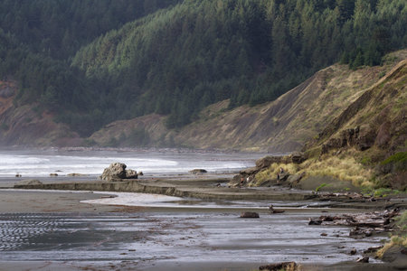 Meyers Beach, Oregon - October 27: group of friends exploring the beach on a beautiful afternoon. October 27 2016, Meyers Beach, Oregon.のeditorial素材