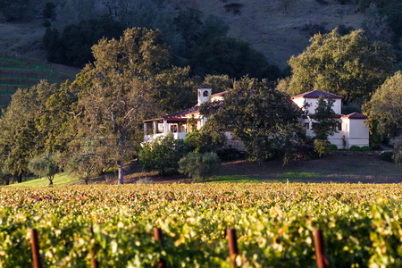 Calistoga, California - November 08: Beautiful home with a vineyard with colorful autumn leaves. November 08 2016, Calistoga, California.のeditorial素材