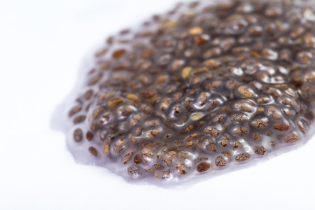water soaked chia seeds isolated on a white backgroundの写真素材