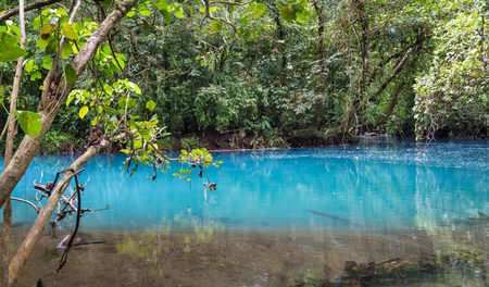 relaxing scene of a calm section in the turquoise river (Rio Celeste) with a tropical rainforest in the backgroundの写真素材