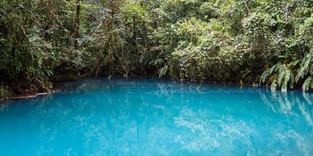 relaxing scene of a calm section in the turquoise river (Rio Celeste) with a tropical rainforest in the backgroundの写真素材