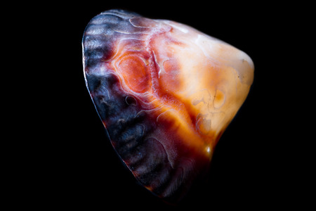macro of a back lit sea shell with a white glowing centerの写真素材