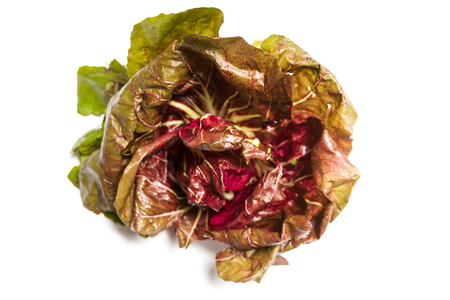 whole head of red leaf lettuce isolated on a white backgroundの写真素材