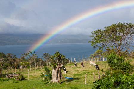 tranquil landscape in Costa Rica with a colorful rainbow over lake Arenal and green pastures in the foregroundの写真素材