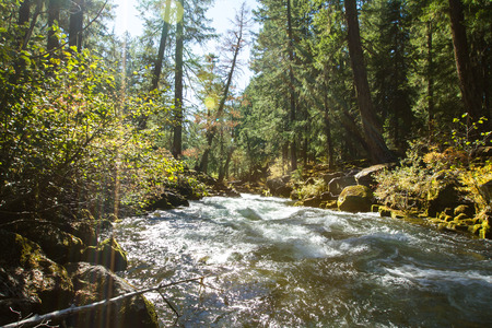 Section of the Rouge River in southern Oregon flowing thru lava rocks and tubes with a few golden autumn leavesの写真素材