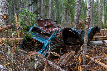 old totaled car found in the woodsの写真素材
