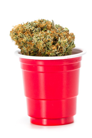 close up of a red plastic cup filled with marijuana buds on a white backgroundの写真素材
