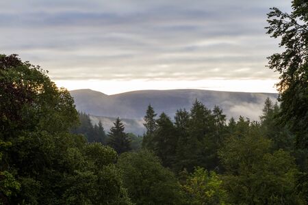 Sunlight on the fog just above the trees early morning in the Scottish Highlandsの写真素材