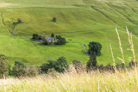 Green open grazing area with sheep looking like little white specks in this sheep farm in the Scottish Highlandsの写真素材