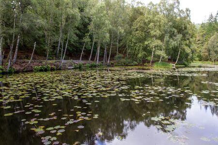 Pond and woods in the Tay Forest Park in the Scottish Highlandsの写真素材