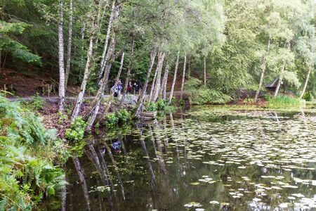 Perthshire Scotland  - September 11 2019: Tour Group walking in the Faskally Forest in the Scottish Highlands, UK September 11,  2019のeditorial素材