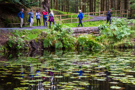 Perthshire Scotland  - September 11 2019: Tour Group walking in the Faskally Forest in the Scottish Highlands, UK September 11,  2019のeditorial素材