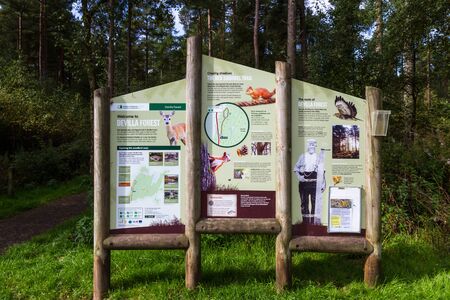 Kinkardine, Scotland  - September 16 2019: Starting point to the Red Squirrel trail in the Devilla Forest, Fife UK September 16,  2019のeditorial素材