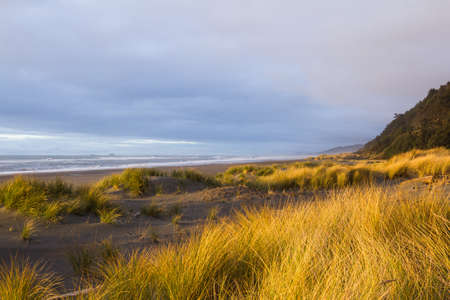 Bright golden color on the dried grass as the sun sets adding highlights and contrast to this costal scene in the southern Oregon coastの写真素材