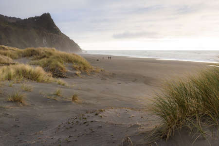 Soft light on the clouds and beach as the sun sets behind a fog bank adding a golden glow to the people walking and Cape Sebastian at the distanceの写真素材