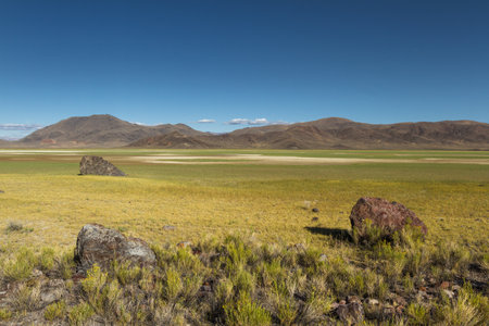 green grasslands growing in an ancient dried lake bed in Northern Nevada after heavy rainfall in the fall with a bit of snow in the mountainsの写真素材