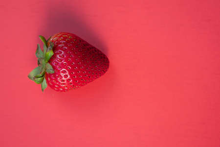 Single ripe red strawberry isolated on a red backgroundの写真素材