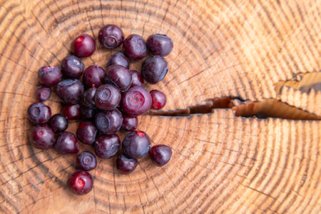 close up of a pile of freshly picked huckleberries on a tree round with natural lightの写真素材