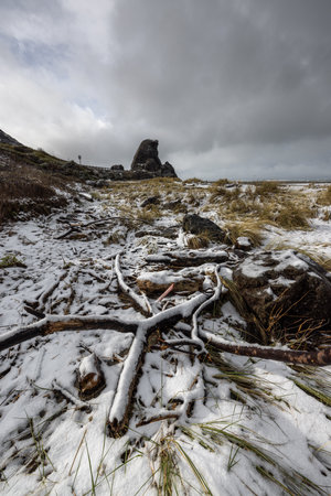 Kissing rock just south of Gold Beach covered in snow February 2023の写真素材