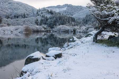 beautiful tranquil scene in gold beach with hunter creek and snow, a rare weather event that happened February 24, 2023.の写真素材