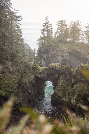 In the Samuel H Boardman Scenic Corridor in southern Oregon, Natural Bridges is one of the most popular places due to the jagged rocks and greenery of the landscape.の写真素材