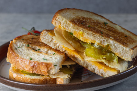 A sandwich with pickles potato chips on a plate with tomatoes on the side. The sandwich is cut in half and stacked on top.の写真素材