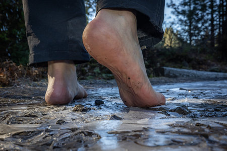 Human feet of an adult male walking barefoot on a frozen puddle as a form of grounding and...